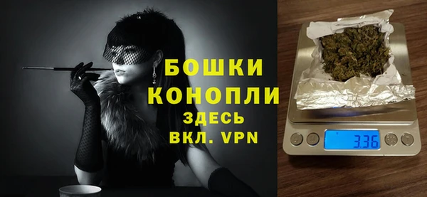 индика Магас