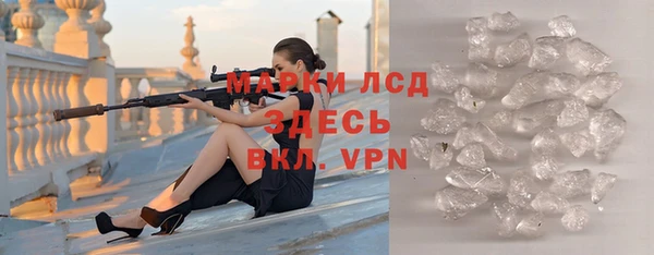 индика Магас