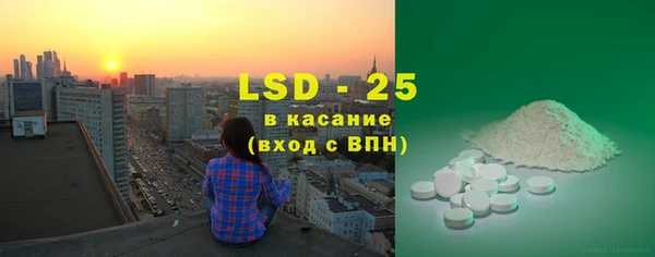 индика Магас