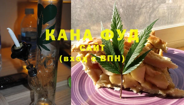 индика Магас