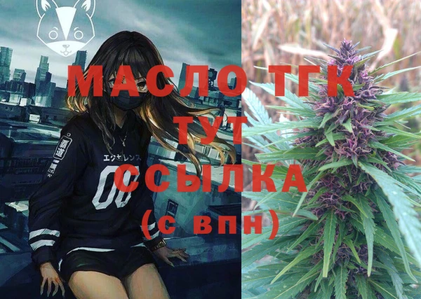 индика Магас