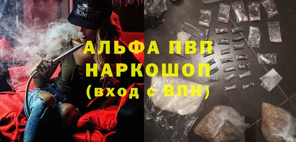 индика Магас