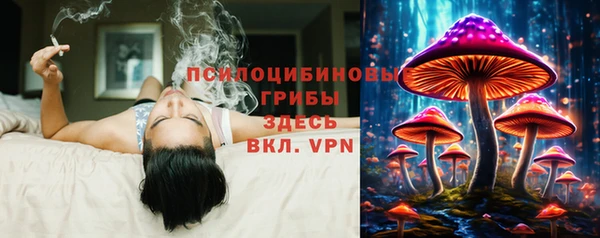 дмт Магадан
