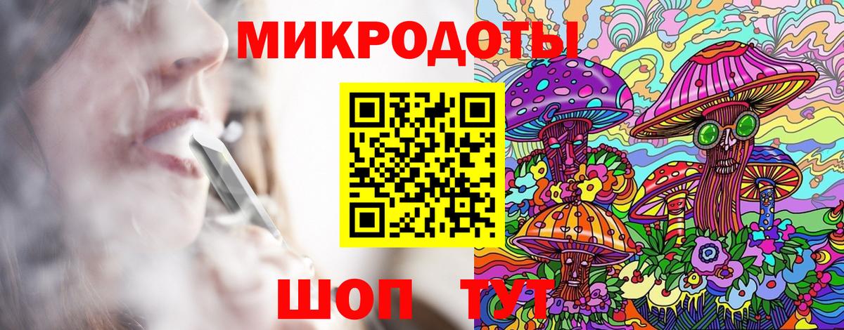 Шебекино  Псилоцибиновые грибы Psilocybe  Вход с VPN 
