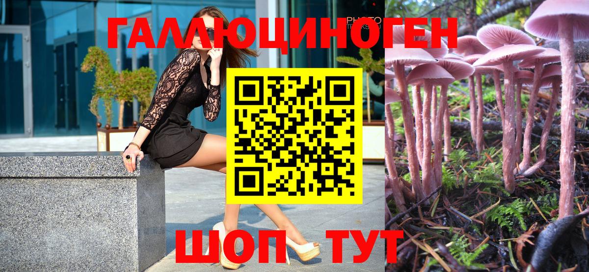 Псилоцибиновые грибы Psilocybe  Шебекино  Псилоцибиновые грибы прущие грибы 