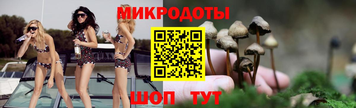 Галлюциногенные грибы GOLDEN TEACHER Шебекино